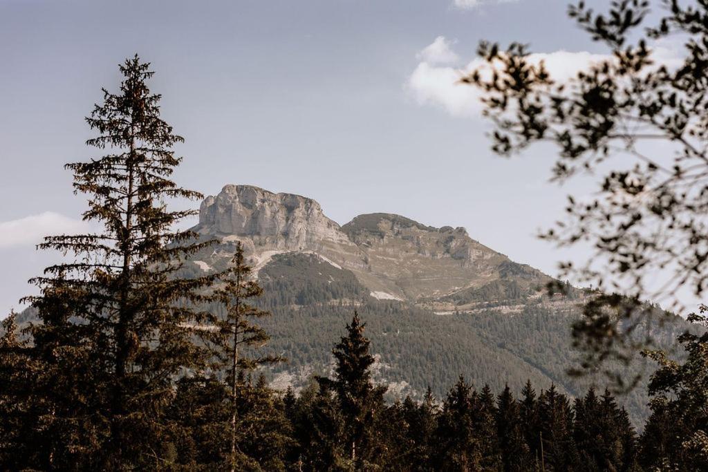 Das Schutzhaus-Bed And Breakfast-Dein Basislager Im Salzkammergut Bad Aussee Eksteriør bilde